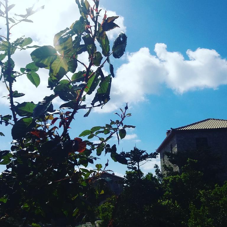 Andreas Katsaros Villas Volímai Exteriér fotografie